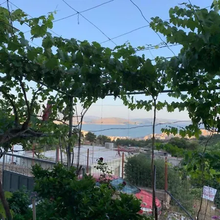 Eljo Sarandë