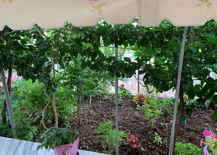 Rajan Shehaj Διαμέρισμα *