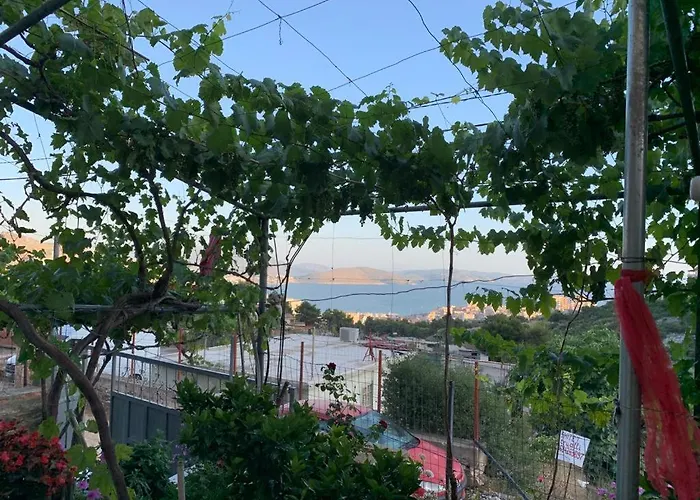 Rajan Shehaj Διαμέρισμα