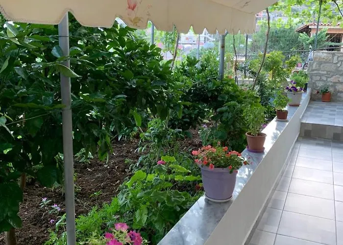 Rajan Shehaj Διαμέρισμα *